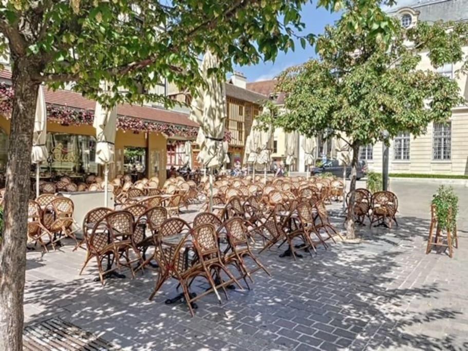 Appartement Au Coeur De Troyes Eksteriør billede
